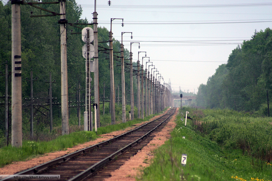 Вид от станции "Вяжище" в сторону Великого Новгорода