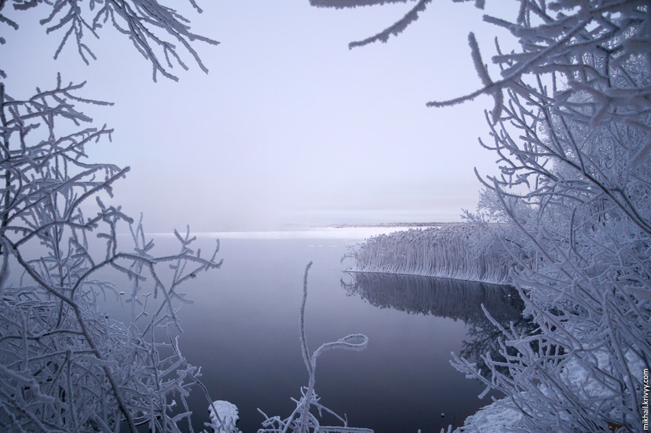 Озеро у Череповецкой ГРЭС. Кадуй.
