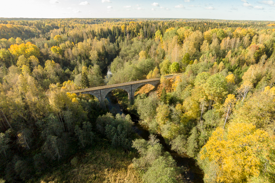 Мост через реку Ярынья. Крестецкий район.
